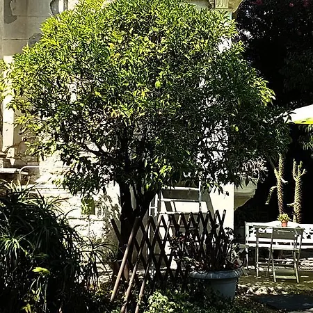 Apartment Maryluna *